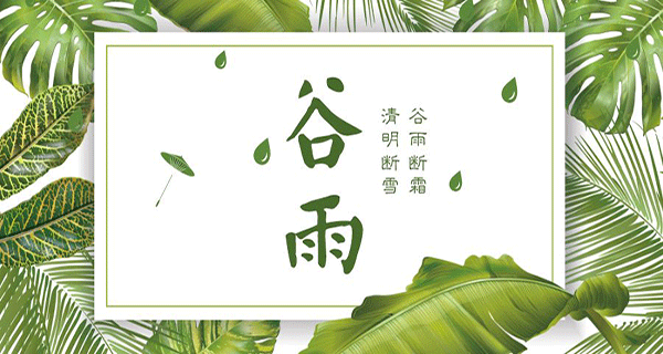 义亮阳光房 | 细雨呢喃,万物舒展